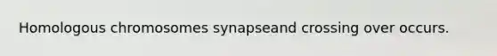 Homologous chromosomes synapseand crossing over occurs.