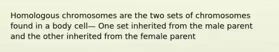 Homologous chromosomes are the two sets of chromosomes found in a body cell— One set inherited from the male parent and the other inherited from the female parent