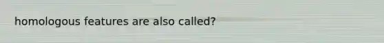 homologous features are also called?