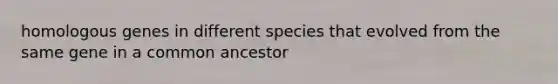 homologous genes in different species that evolved from the same gene in a common ancestor