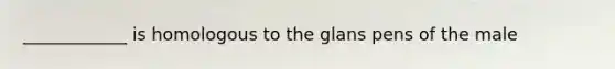 ____________ is homologous to the glans pens of the male