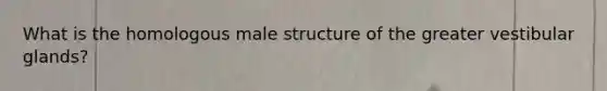 What is the homologous male structure of the greater vestibular glands?