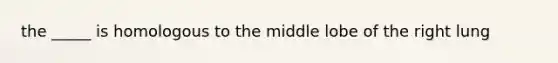 the _____ is homologous to the middle lobe of the right lung