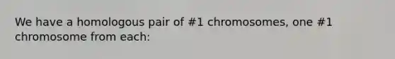 We have a homologous pair of #1 chromosomes, one #1 chromosome from each: