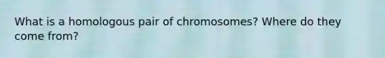 What is a homologous pair of chromosomes? Where do they come from?