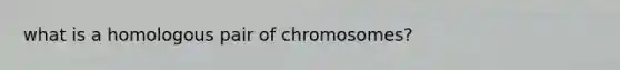 what is a homologous pair of chromosomes?