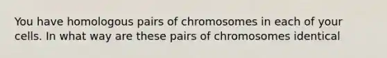 You have homologous pairs of chromosomes in each of your cells. In what way are these pairs of chromosomes identical