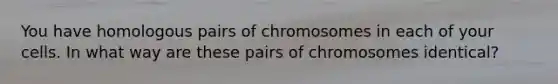 You have homologous pairs of chromosomes in each of your cells. In what way are these pairs of chromosomes identical?