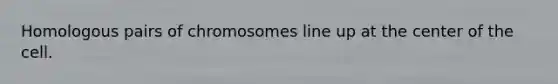 Homologous pairs of chromosomes line up at the center of the cell.