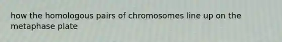 how the homologous pairs of chromosomes line up on the metaphase plate