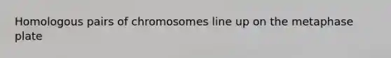 Homologous pairs of chromosomes line up on the metaphase plate