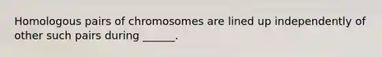 Homologous pairs of chromosomes are lined up independently of other such pairs during ______.