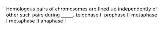 Homologous pairs of chromosomes are lined up independently of other such pairs during _____. telophase II prophase II metaphase I metaphase II anaphase I