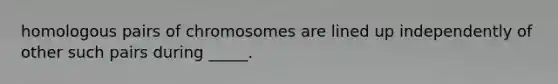 homologous pairs of chromosomes are lined up independently of other such pairs during _____.