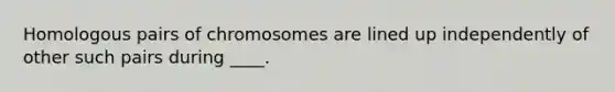 Homologous pairs of chromosomes are lined up independently of other such pairs during ____.