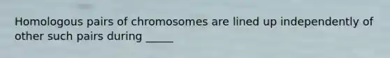 Homologous pairs of chromosomes are lined up independently of other such pairs during _____