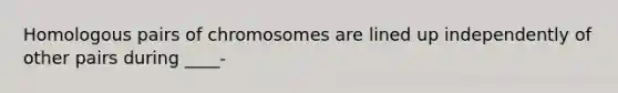 Homologous pairs of chromosomes are lined up independently of other pairs during ____-