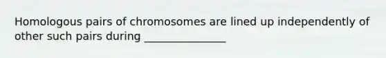 Homologous pairs of chromosomes are lined up independently of other such pairs during _______________