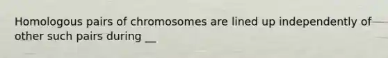 Homologous pairs of chromosomes are lined up independently of other such pairs during __