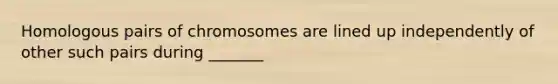 Homologous pairs of chromosomes are lined up independently of other such pairs during _______