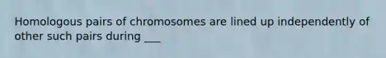 Homologous pairs of chromosomes are lined up independently of other such pairs during ___