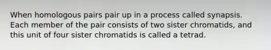 When homologous pairs pair up in a process called synapsis. Each member of the pair consists of two sister chromatids, and this unit of four sister chromatids is called a tetrad.