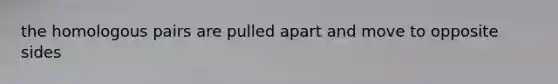 the homologous pairs are pulled apart and move to opposite sides