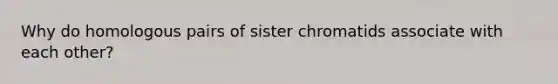 Why do homologous pairs of sister chromatids associate with each other?