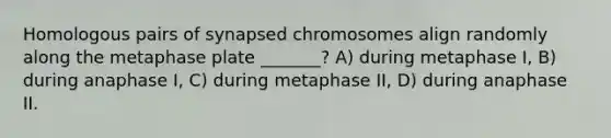 Homologous pairs of synapsed chromosomes align randomly along the metaphase plate _______? A) during metaphase I, B) during anaphase I, C) during metaphase II, D) during anaphase II.