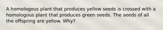 A homologous plant that produces yellow seeds is crossed with a homologous plant that produces green seeds. The seeds of all the offspring are yellow. Why?