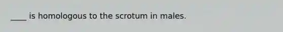 ____ is homologous to the scrotum in males.