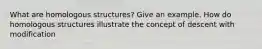 What are homologous structures? Give an example. How do homologous structures illustrate the concept of descent with modification