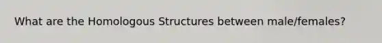 What are the Homologous Structures between male/females?