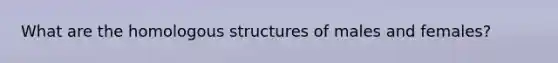 What are the homologous structures of males and females?