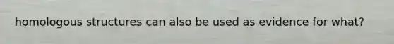 homologous structures can also be used as evidence for what?