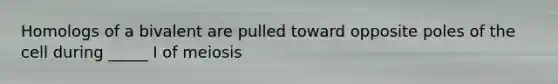Homologs of a bivalent are pulled toward opposite poles of the cell during _____ I of meiosis