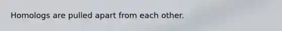 Homologs are pulled apart from each other.