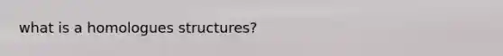 what is a homologues structures?