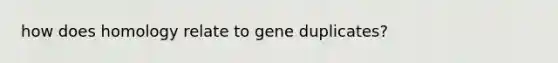 how does homology relate to gene duplicates?