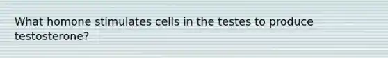 What homone stimulates cells in the testes to produce testosterone?