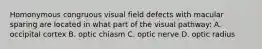 Homonymous congruous visual field defects with macular sparing are located in what part of the visual pathway: A. occipital cortex B. optic chiasm C. optic nerve D. optic radius