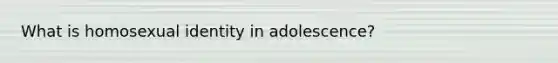 What is homosexual identity in adolescence?