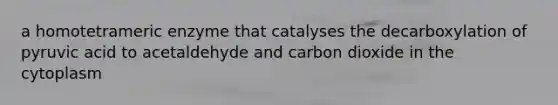 a homotetrameric enzyme that catalyses the decarboxylation of pyruvic acid to acetaldehyde and carbon dioxide in the cytoplasm