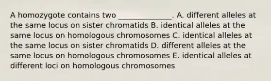 A homozygote contains two ______________. A. different alleles at the same locus on sister chromatids B. identical alleles at the same locus on homologous chromosomes C. identical alleles at the same locus on sister chromatids D. different alleles at the same locus on homologous chromosomes E. identical alleles at different loci on homologous chromosomes