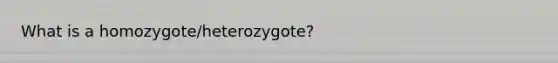 What is a homozygote/heterozygote?