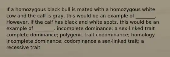 If a homozygous black bull is mated with a homozygous white cow and the calf is gray, this would be an example of ________. However, if the calf has black and white spots, this would be an example of ________. incomplete dominance; a sex-linked trait complete dominance; polygenic trait codominance; homology incomplete dominance; codominance a sex-linked trait; a recessive trait