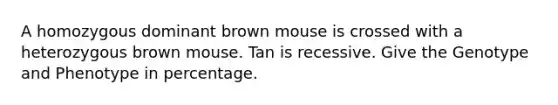 A homozygous dominant brown mouse is crossed with a heterozygous brown mouse. Tan is recessive. Give the Genotype and Phenotype in percentage.