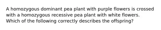 A homozygous dominant pea plant with purple flowers is crossed with a homozygous recessive pea plant with white flowers. Which of the following correctly describes the offspring?