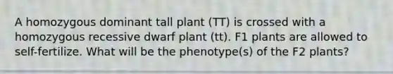 A homozygous dominant tall plant (TT) is crossed with a homozygous recessive dwarf plant (tt). F1 plants are allowed to self-fertilize. What will be the phenotype(s) of the F2 plants?