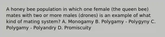 A honey bee population in which one female (the queen bee) mates with two or more males (drones) is an example of what kind of mating system? A. Monogamy B. Polygamy - Polygyny C. Polygamy - Polyandry D. Promiscuity